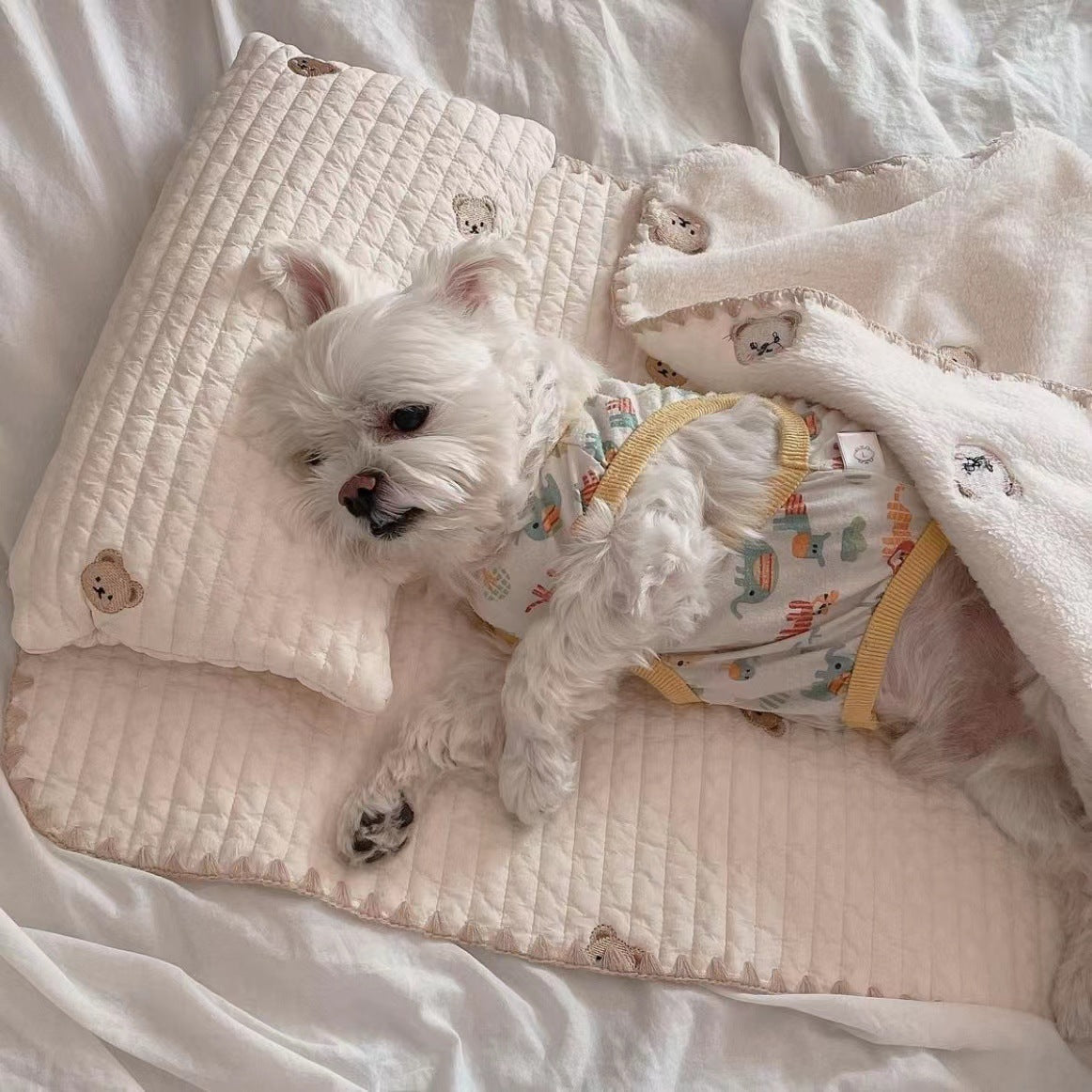 Transform Your Pet's Comfort with the Fashion Square Mat Removable and Washable Dog Bed