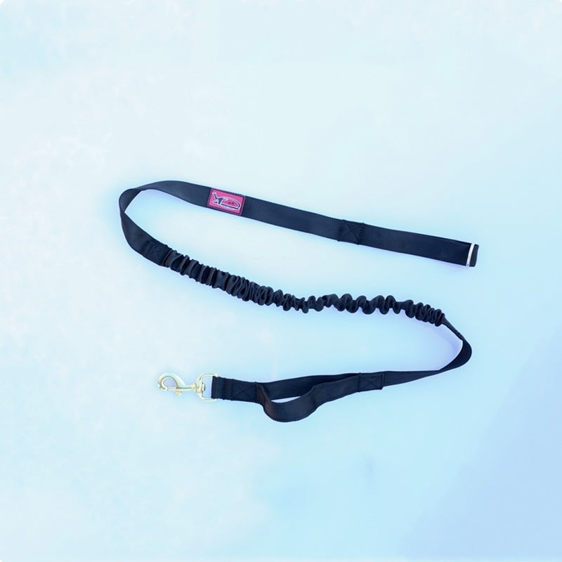 Unleash Adventure with the Tactical Leash