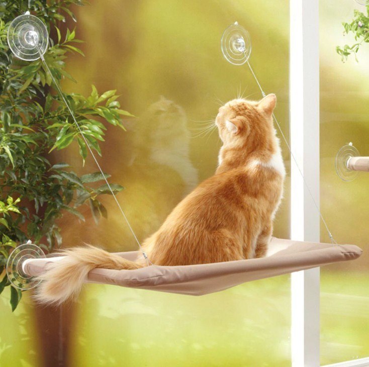 The Ultimate Cat Comfort: Pet Hanging Beds Cat Sunny Window Seat