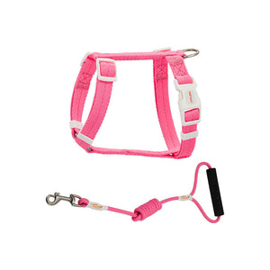 Unleash Adventure with the Pet Anti Breakaway Traction Leash