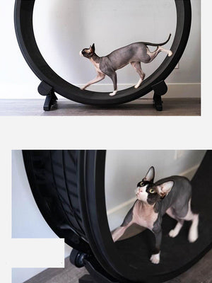 Unleash Your Cat's Energy with the Pet Cat Running Wheel Fitness Toys