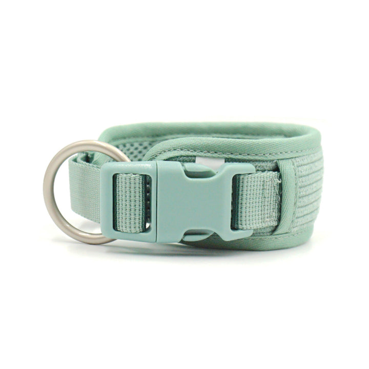 The Ultimate Pet Collar Explosion-proof Dog Vest Leash