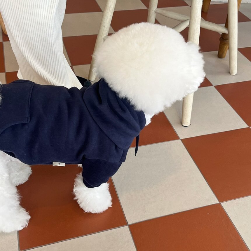 Small Puppies Hooded Sweater Cat Clothing