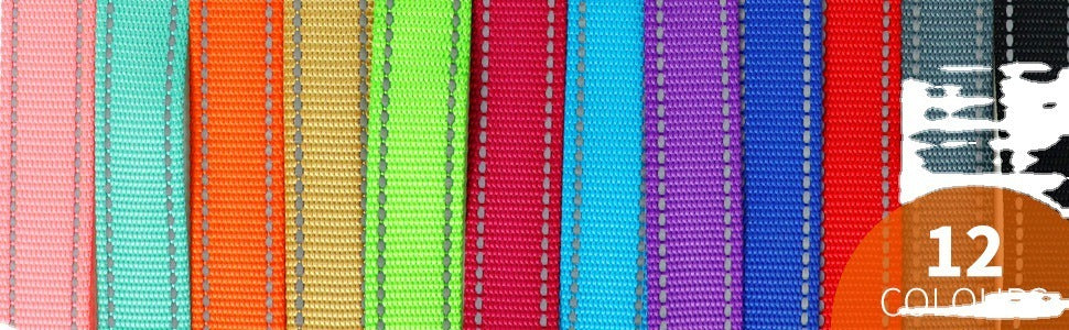 Reflective Dog Pet Hand Holding Leashe