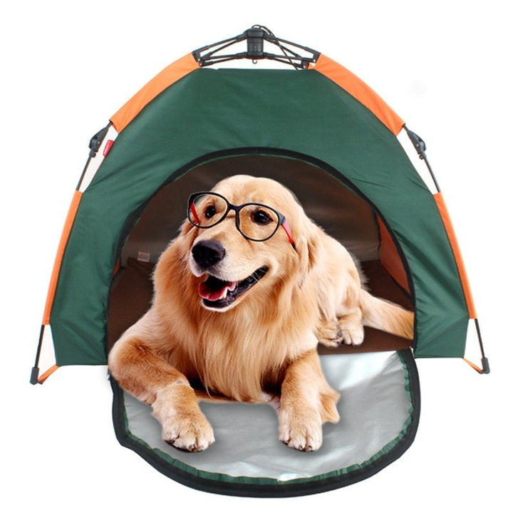 Outdoor Pet Kennel