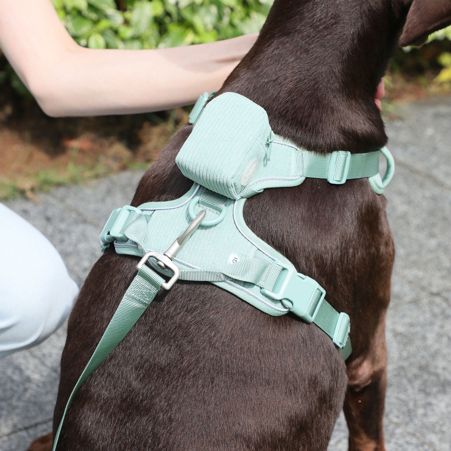 Pet Collar Explosion-proof Dog Vest Leashe