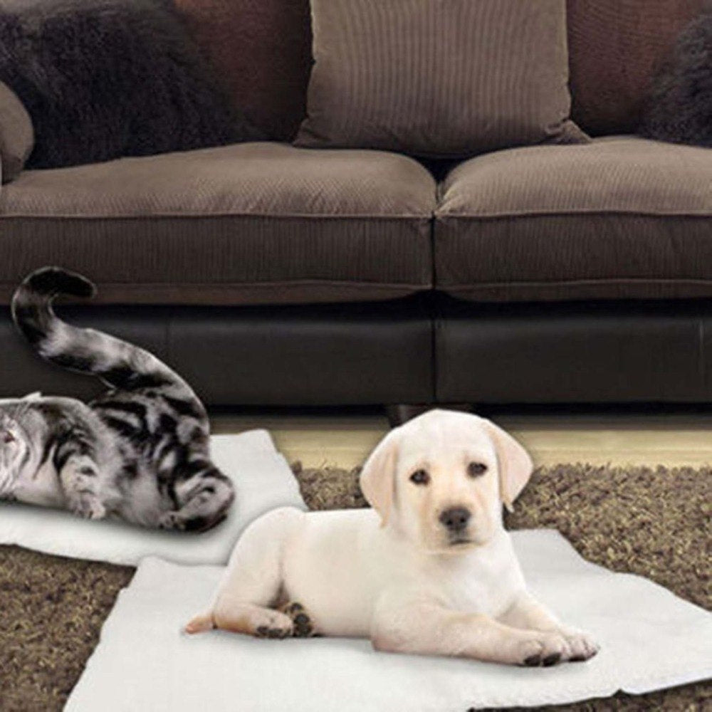 Self Heating Dog Cat Blanket Pet Bed