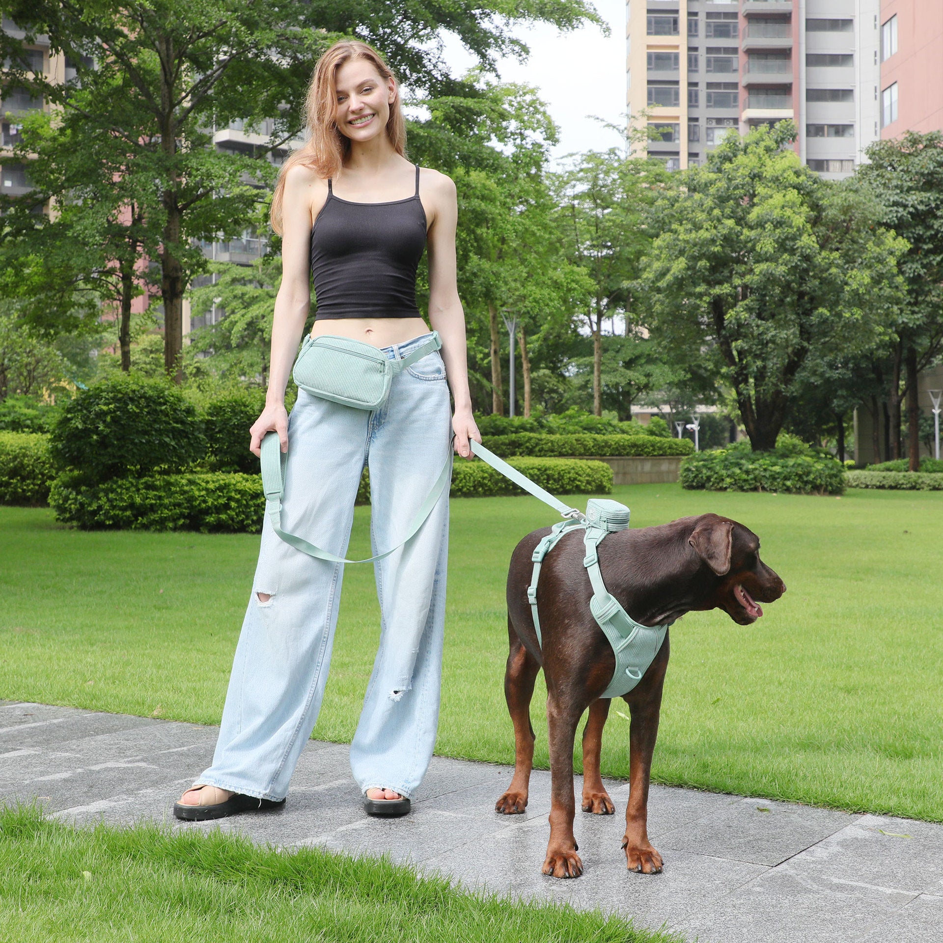 Pet Collar Explosion-proof Dog Vest Leashe