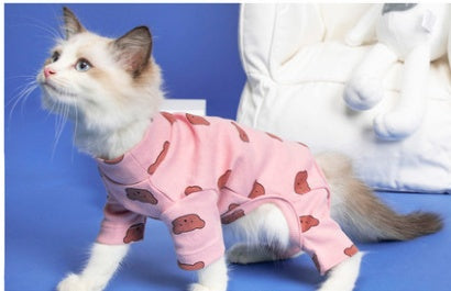 Clothes Ins Puppet Cat British Short Cat