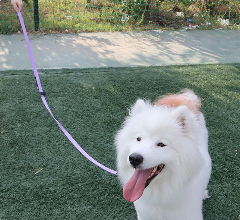 PVC Multifunctional Running Pet Hand Holding Leashe