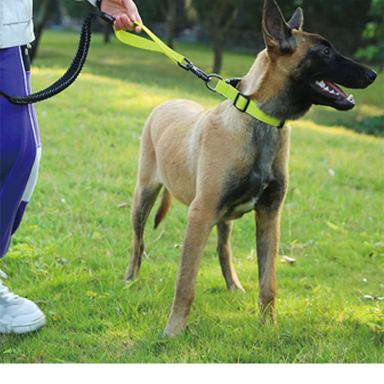 Reflective Safety Belt Explosion-proof Okinawa Leashe