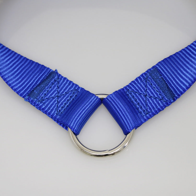 Domestic Double Headed Pet Traction Leashe