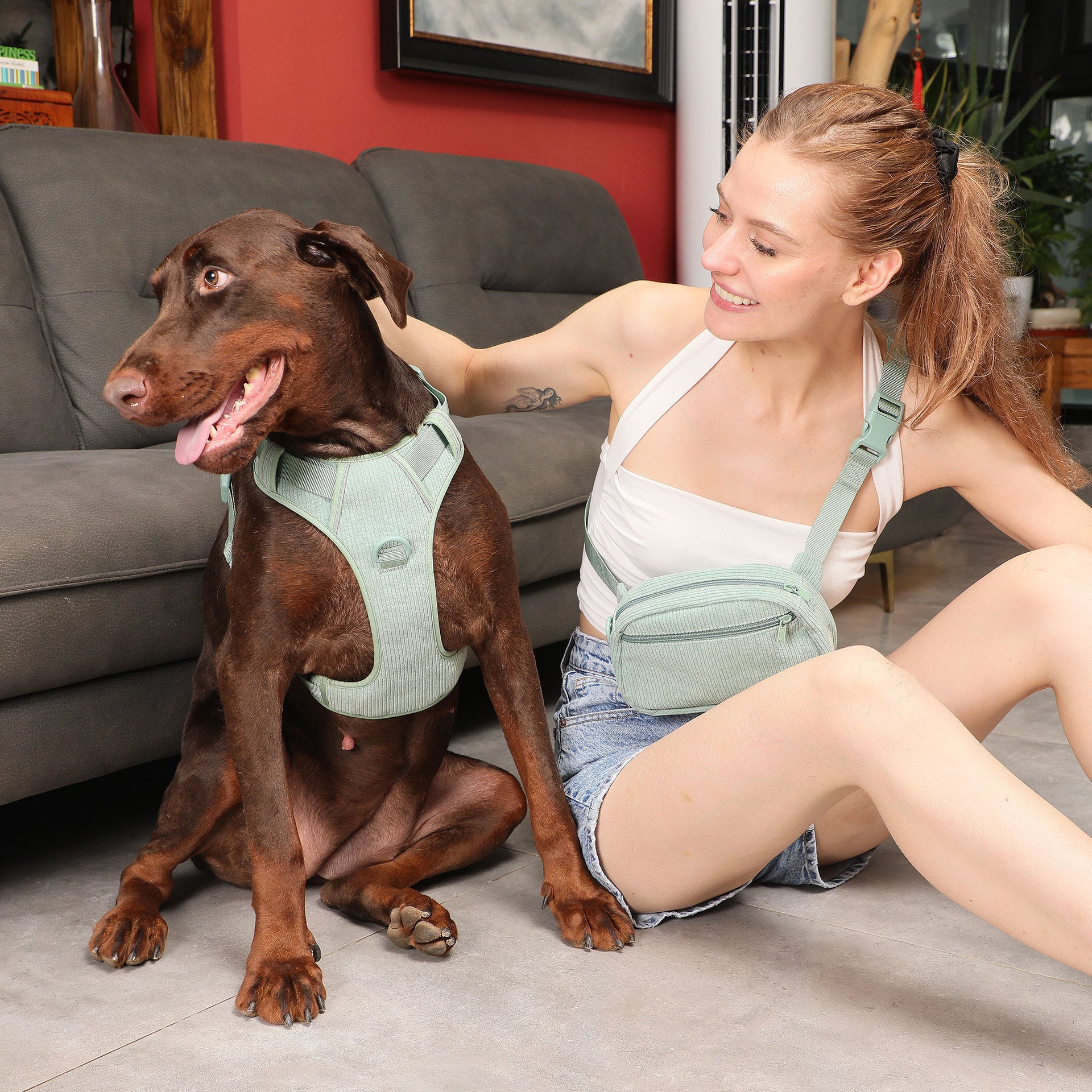 Pet Collar Explosion-proof Dog Vest Leashe