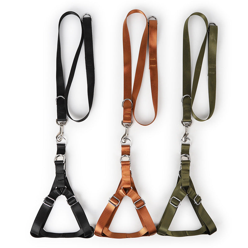 Golden Wool Edged Shepherd Husky With Big Dog Leash