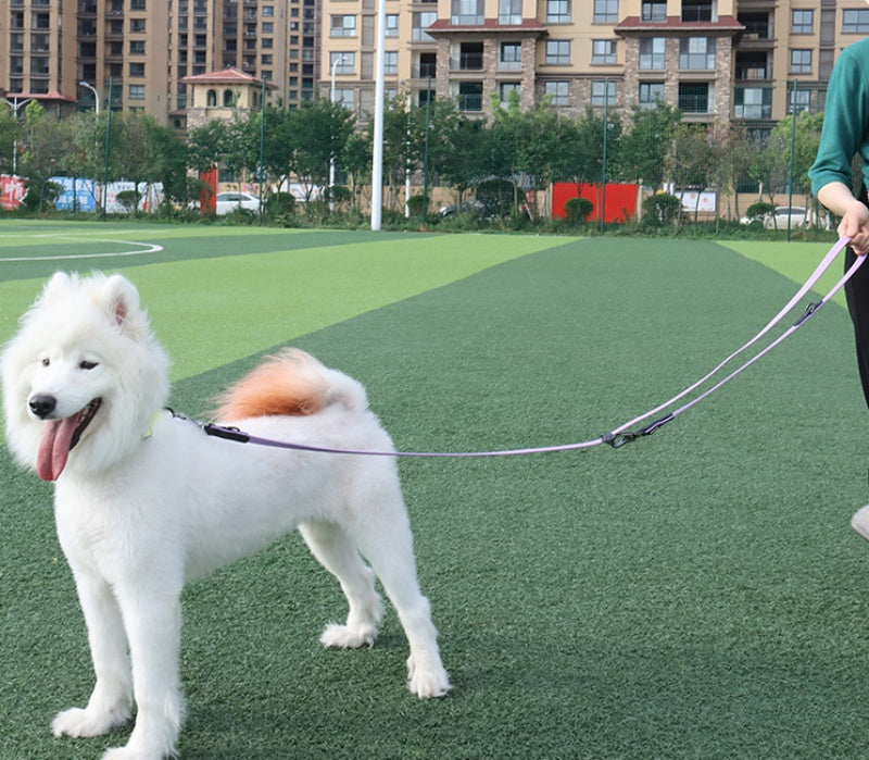 PVC Multifunctional Running Pet Hand Holding Leashe