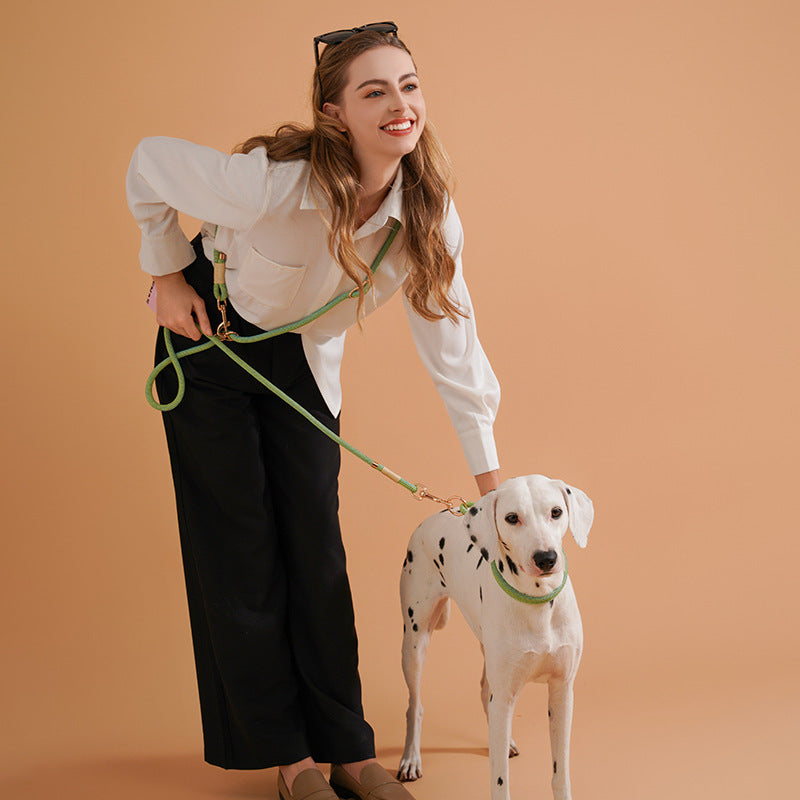 Nylon Small And Medium-sized Dogs Pet Hand Holding Leashe