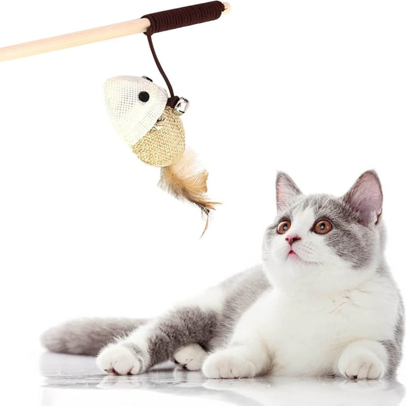 Teaser Feather Toys