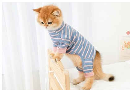 Clothes Ins Puppet Cat British Short Cat