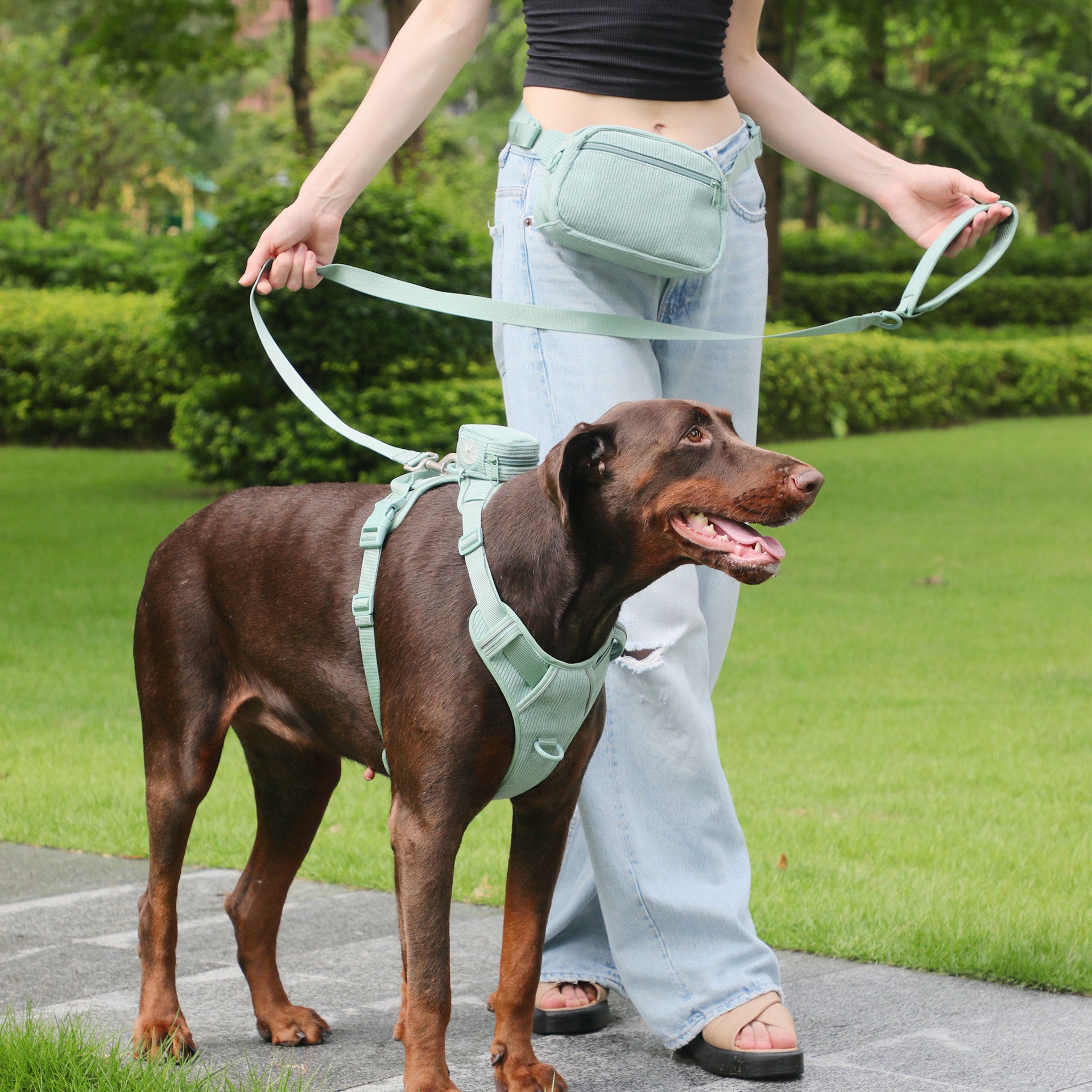 Pet Collar Explosion-proof Dog Vest Leashe