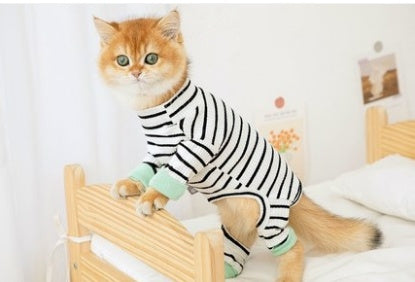 Clothes Ins Puppet Cat British Short Cat