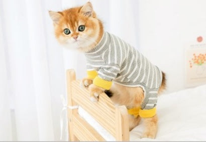 Clothes Ins Puppet Cat British Short Cat